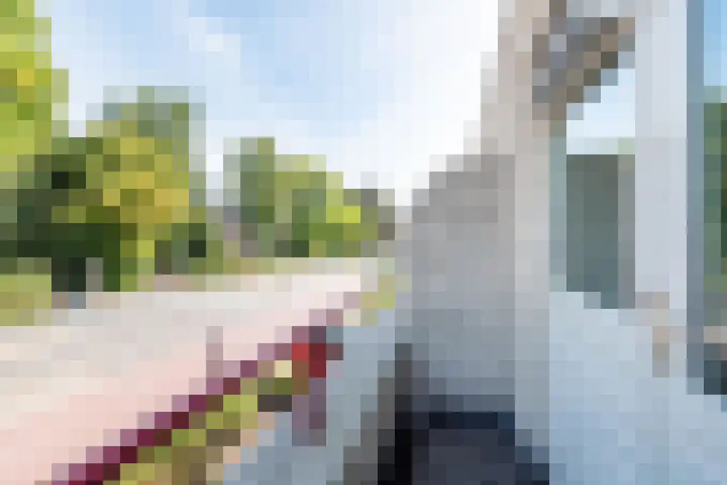Silvoldseweg 2 C Terborg thumbnail 29