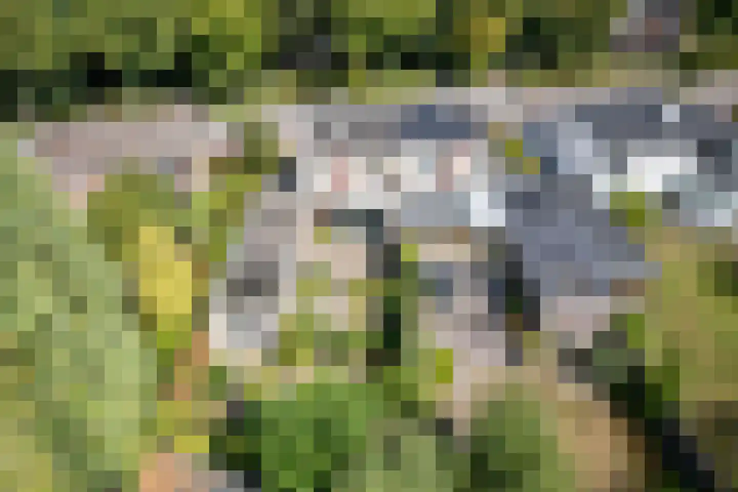 Silvoldseweg 2 C Terborg thumbnail 36