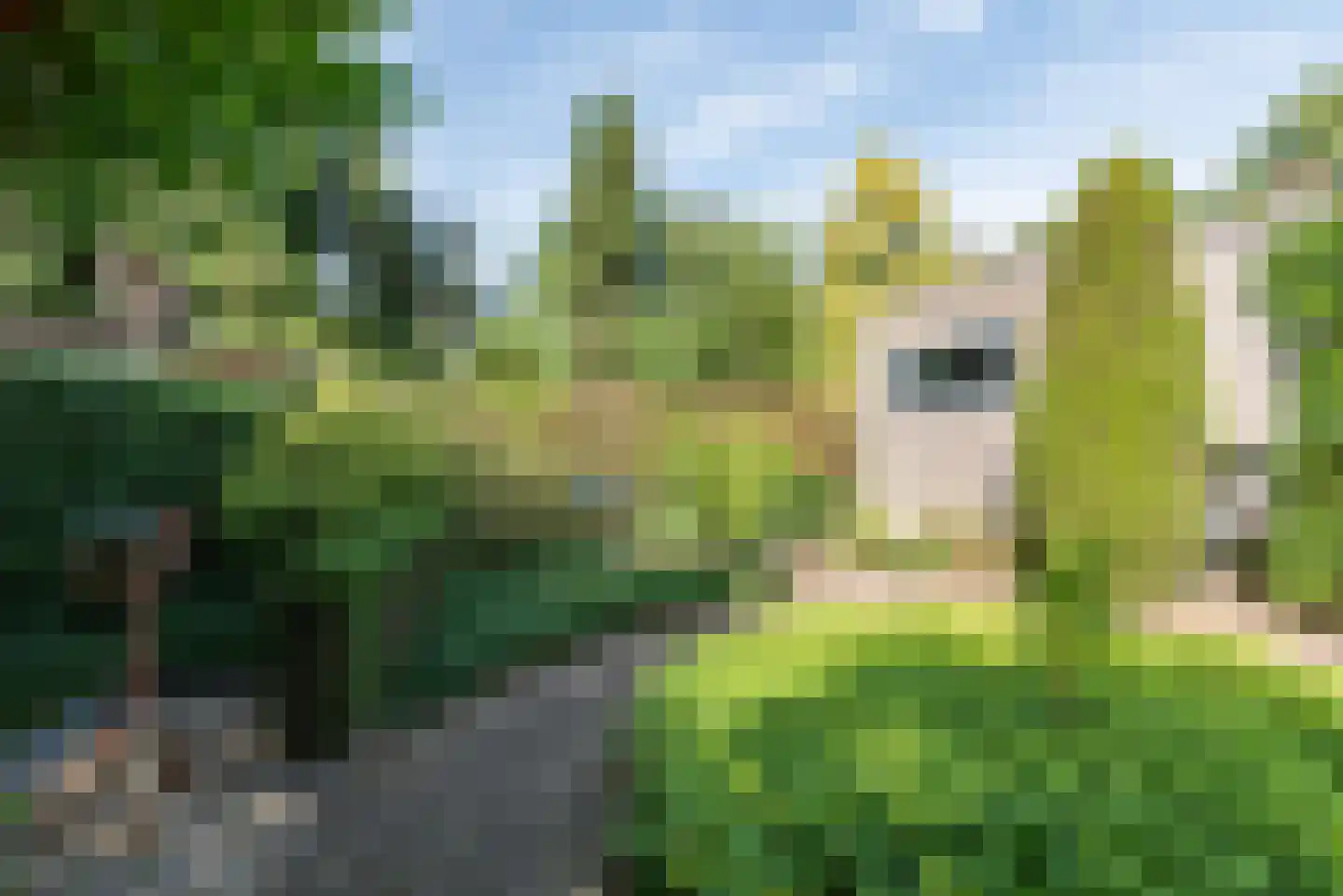 Silvoldseweg 2 C Terborg thumbnail 38