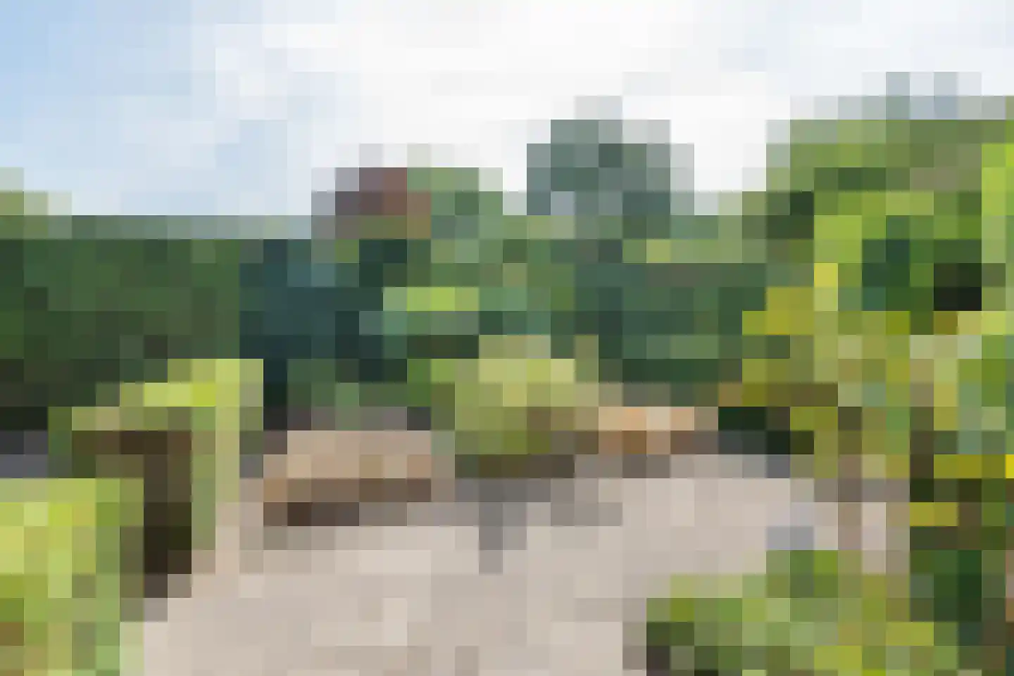 Silvoldseweg 2 C Terborg thumbnail 40