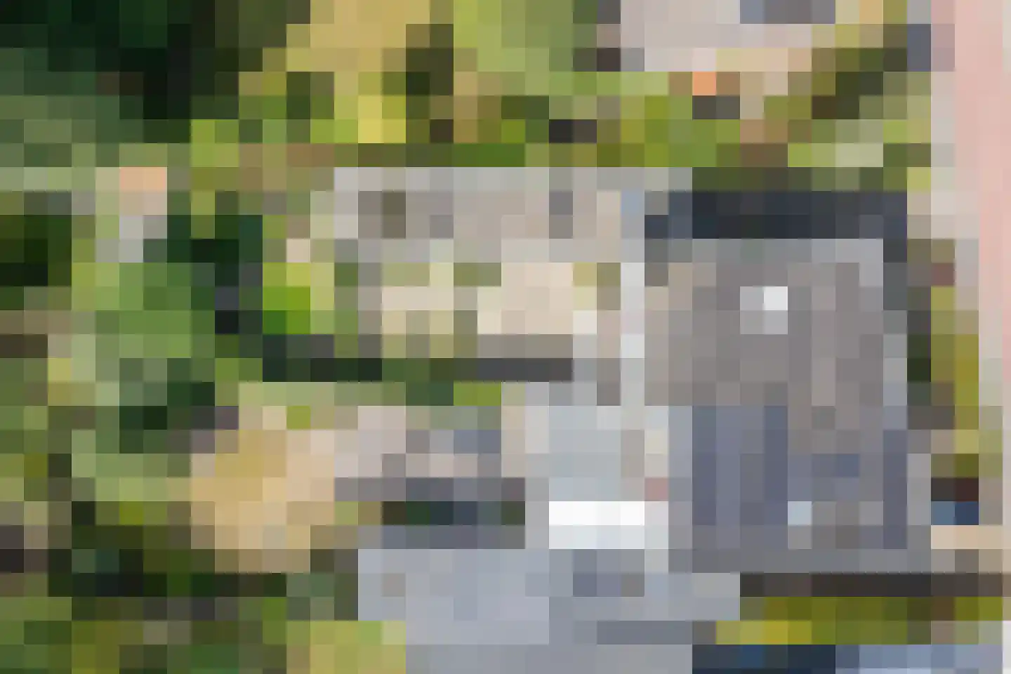 Silvoldseweg 2 C Terborg thumbnail 42