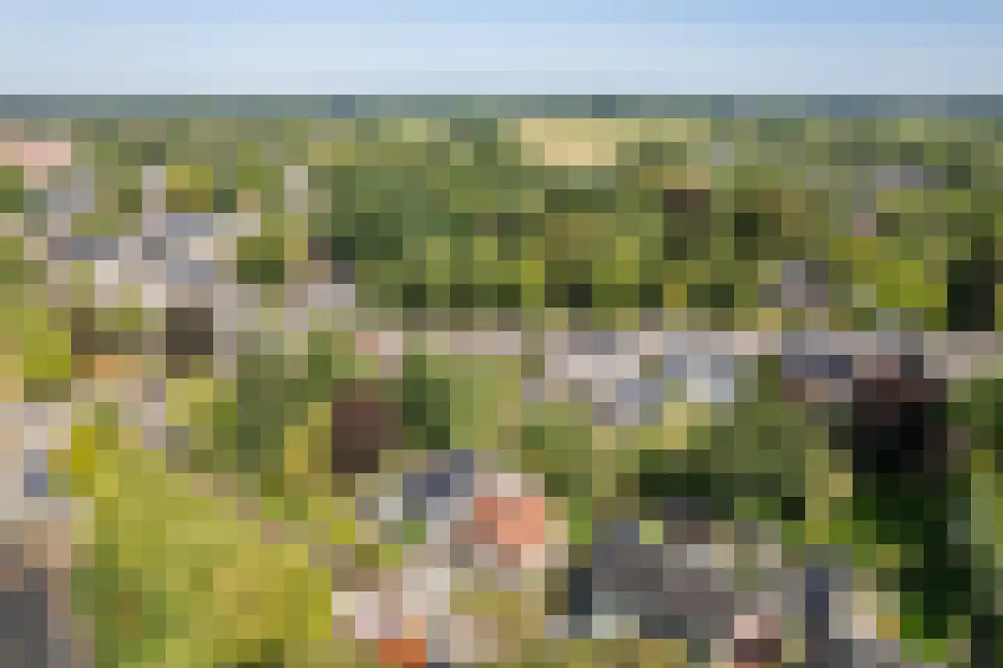 Silvoldseweg 2 C Terborg thumbnail 51