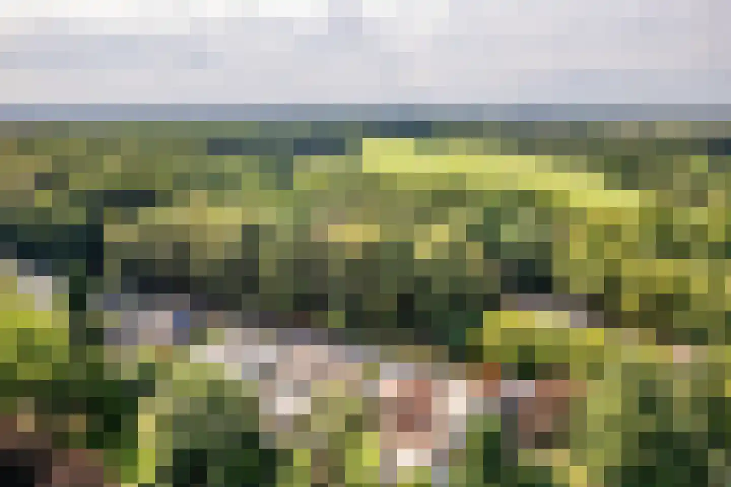 Silvoldseweg 2 C Terborg thumbnail 52