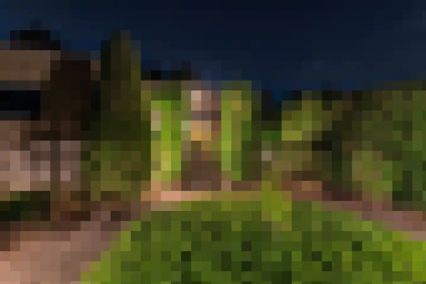 Silvoldseweg 2 C Terborg thumbnail 56