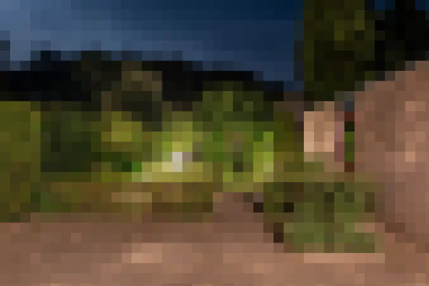 Silvoldseweg 2 C Terborg thumbnail 57