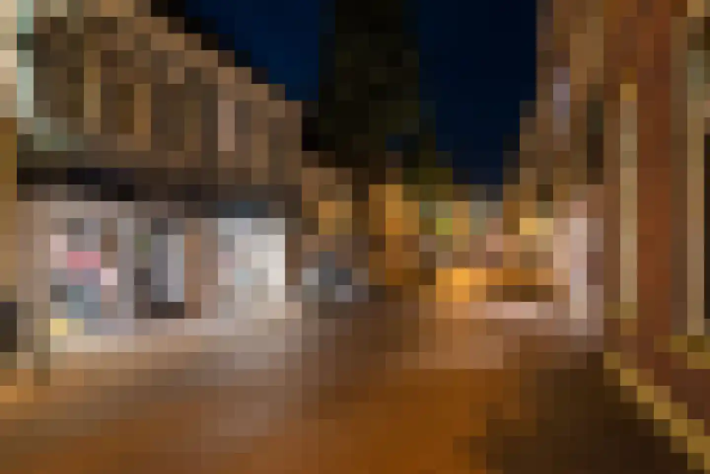 Silvoldseweg 2 C Terborg thumbnail 59