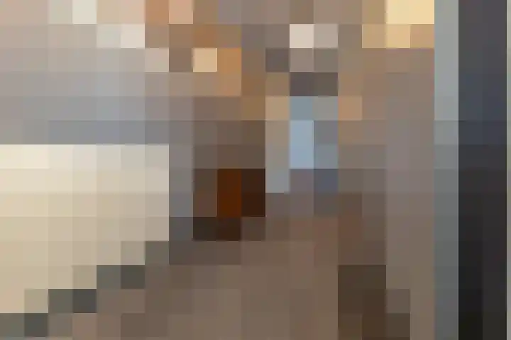 Silvoldseweg 40 Terborg thumbnail 25