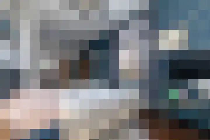 Silvoldseweg 40 Terborg thumbnail 26