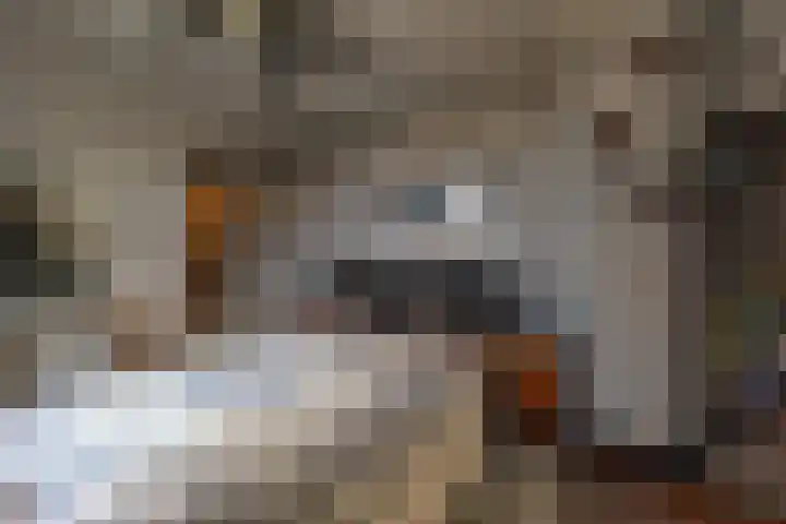 Silvoldseweg 40 Terborg thumbnail 28