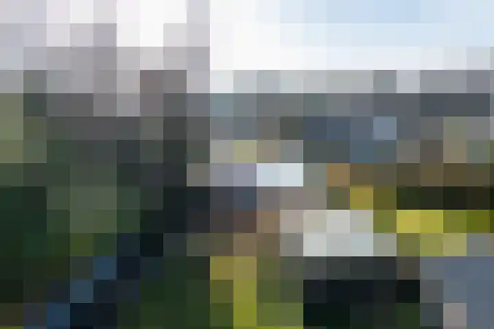 Silvoldseweg 40 Terborg thumbnail 38