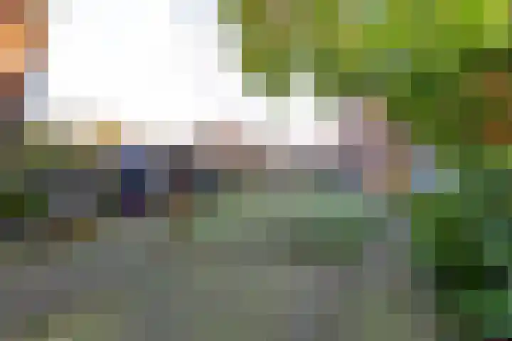 Silvoldseweg 40 Terborg thumbnail 39