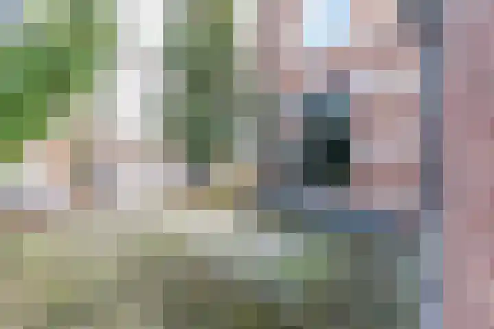 Silvoldseweg 40 Terborg thumbnail 4