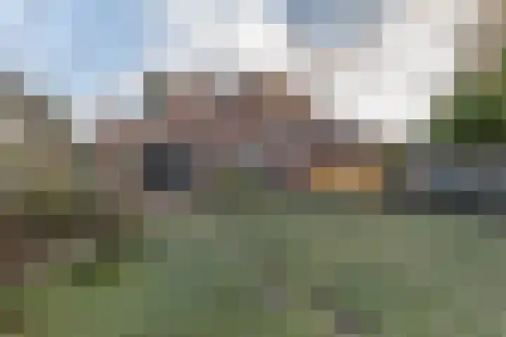 Silvoldseweg 40 Terborg thumbnail 40