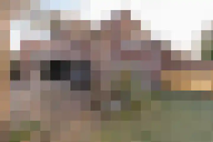 Silvoldseweg 40 Terborg thumbnail 41