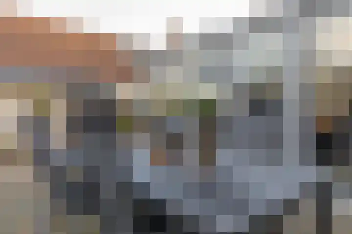 Silvoldseweg 40 Terborg thumbnail 43