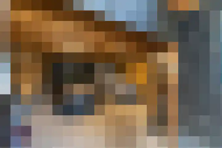 Silvoldseweg 40 Terborg thumbnail 51