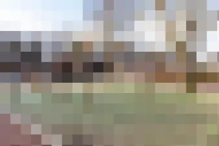 Silvoldseweg 40 Terborg thumbnail 55