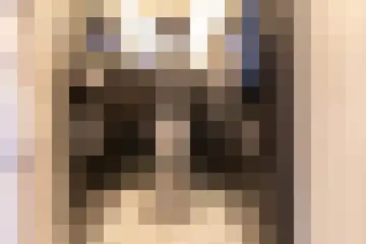 Silvoldseweg 40 Terborg thumbnail 9