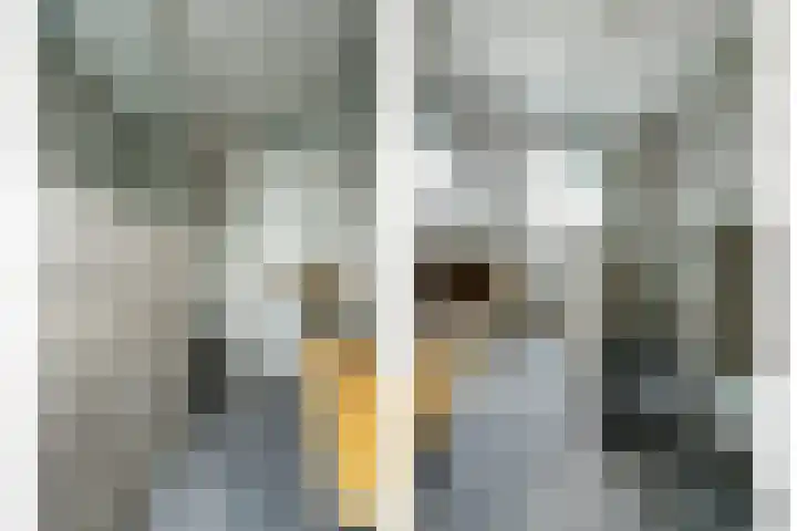 Sima 6 Beuningen Gld thumbnail 28