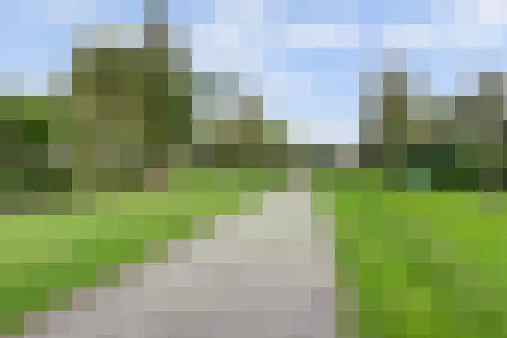 Sima 6 Beuningen Gld thumbnail 39