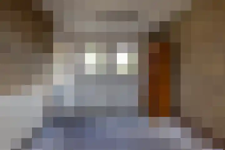 Simke Kloostermanstraat 11 Buitenpost thumbnail 18
