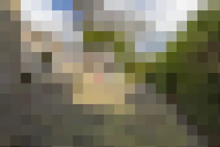 Simke Kloostermanstraat 11 Buitenpost thumbnail 38