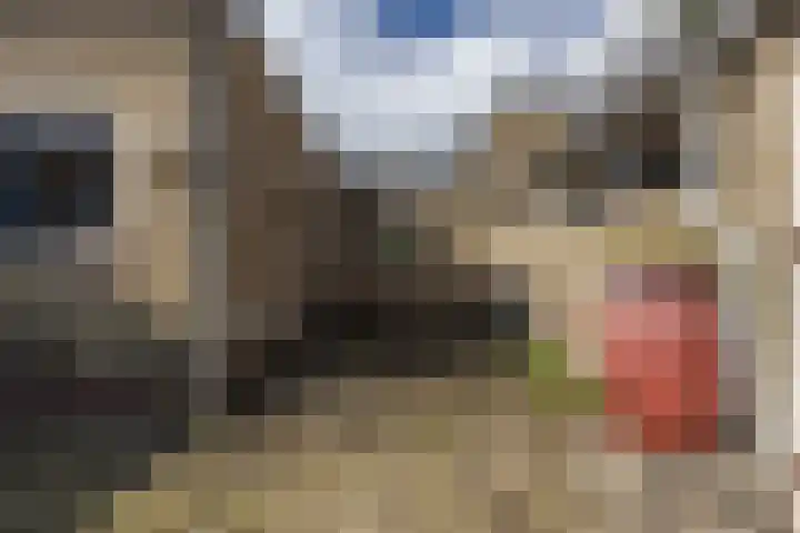 Simke Kloostermanstraat 11 Buitenpost thumbnail 40