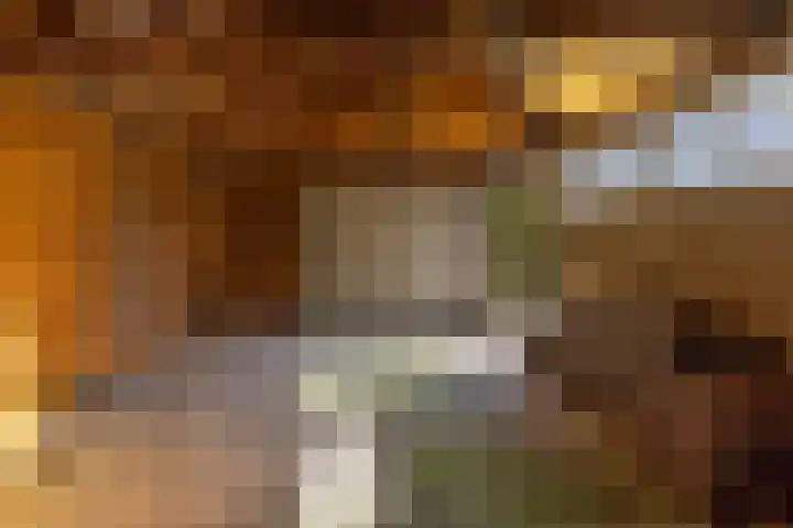 Simke Kloostermanstraat 11 Buitenpost thumbnail 43