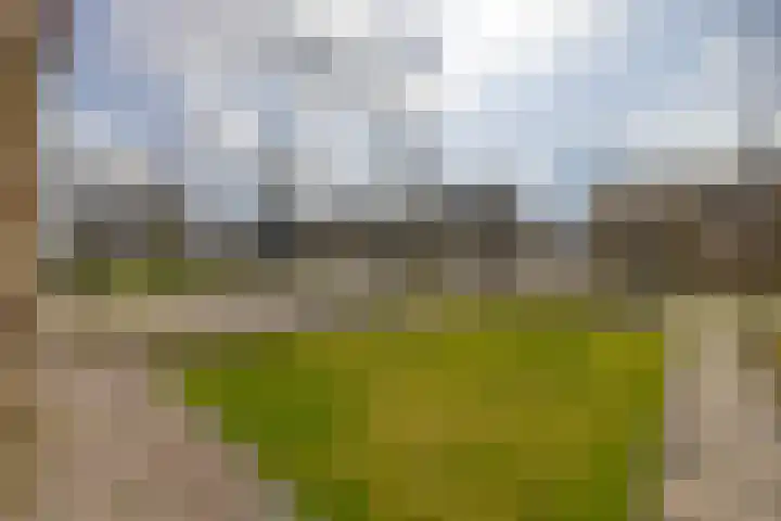 Simke Kloostermanstraat 11 Buitenpost thumbnail 51