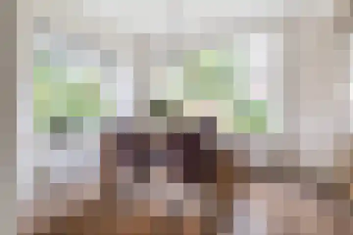 Simke Kloostermanstrjitte 101 Gytsjerk thumbnail 10