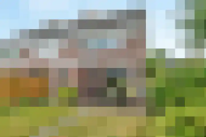 Simke Kloostermanstrjitte 101 Gytsjerk thumbnail 16