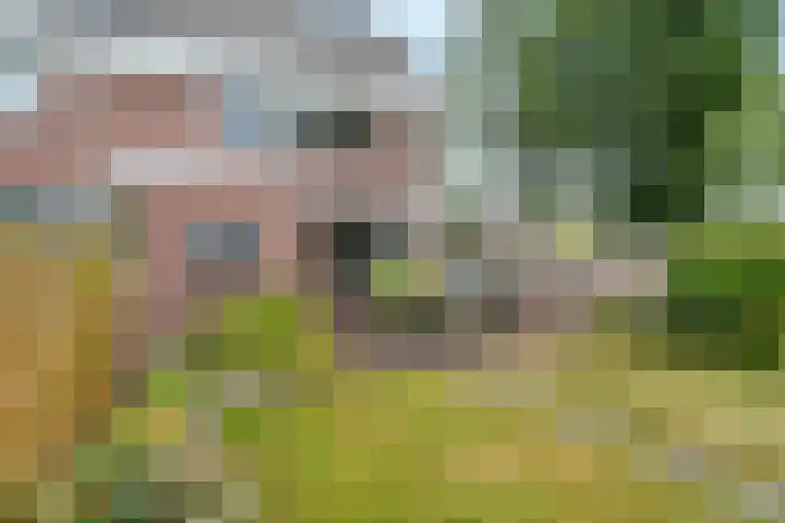 Simke Kloostermanstrjitte 101 Gytsjerk thumbnail 17