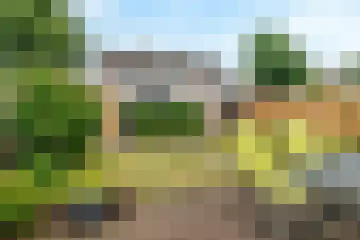Simke Kloostermanstrjitte 101 Gytsjerk thumbnail 18