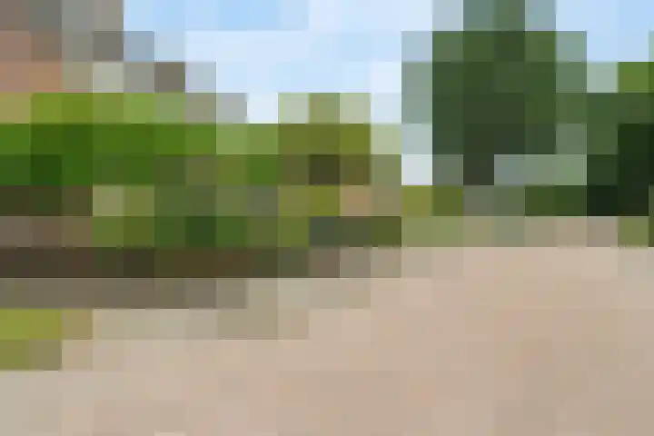 Simke Kloostermanstrjitte 101 Gytsjerk thumbnail 36