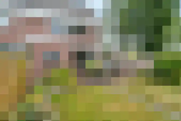 Simke Kloostermanstrjitte 101 Gytsjerk thumbnail 4