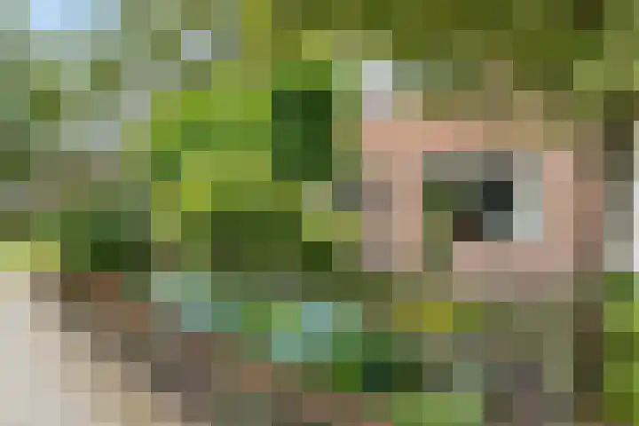 Simke Kloostermanstrjitte 101 Gytsjerk thumbnail 5
