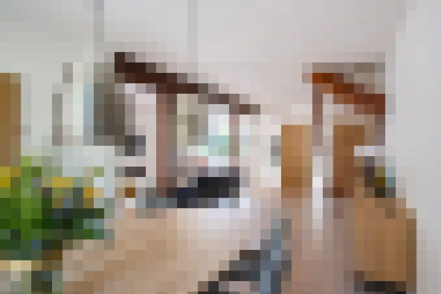 Simke Kloostermanstrjitte 112 Gytsjerk thumbnail 22