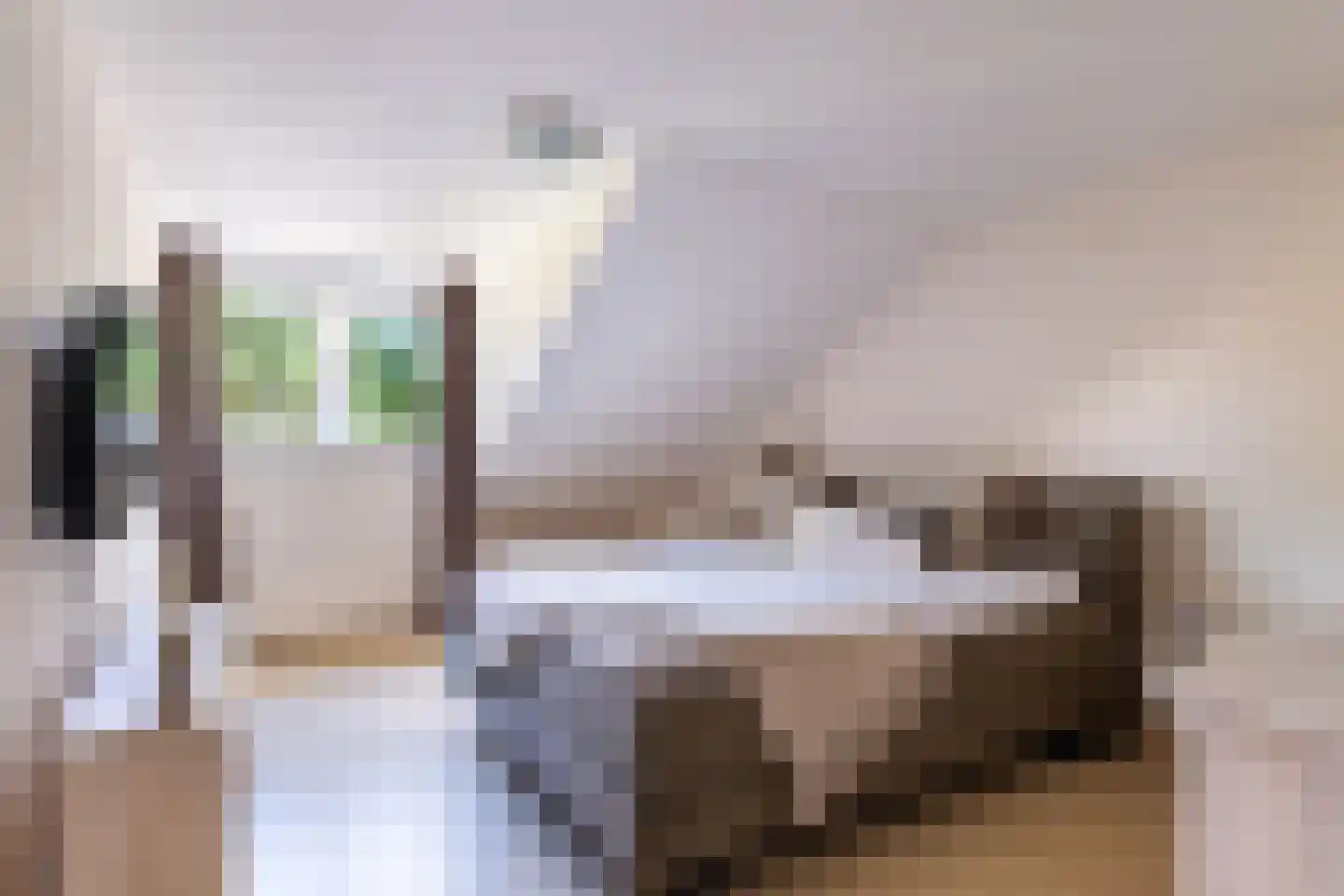 Simke Kloostermanstrjitte 112 Gytsjerk thumbnail 29