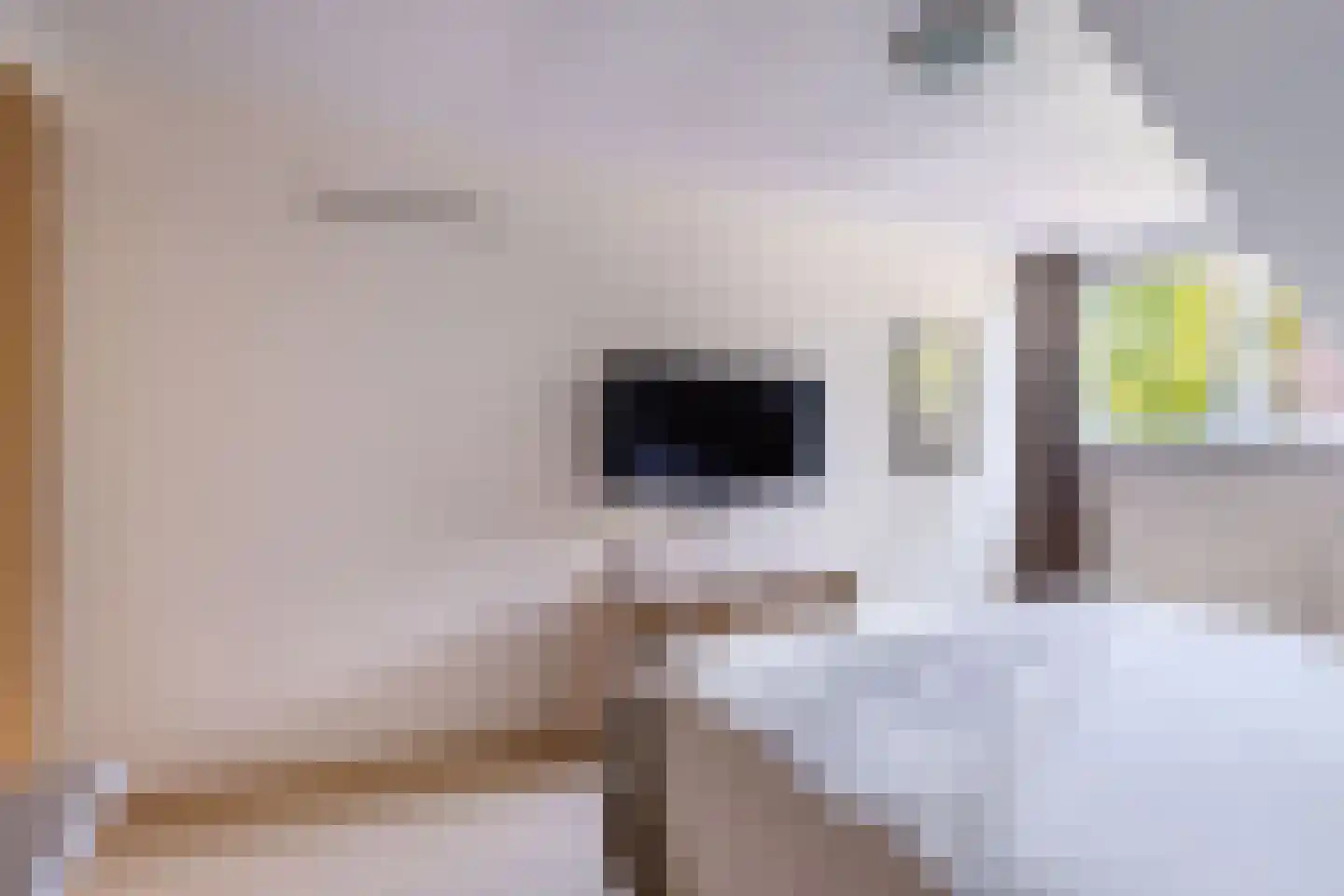 Simke Kloostermanstrjitte 112 Gytsjerk thumbnail 30