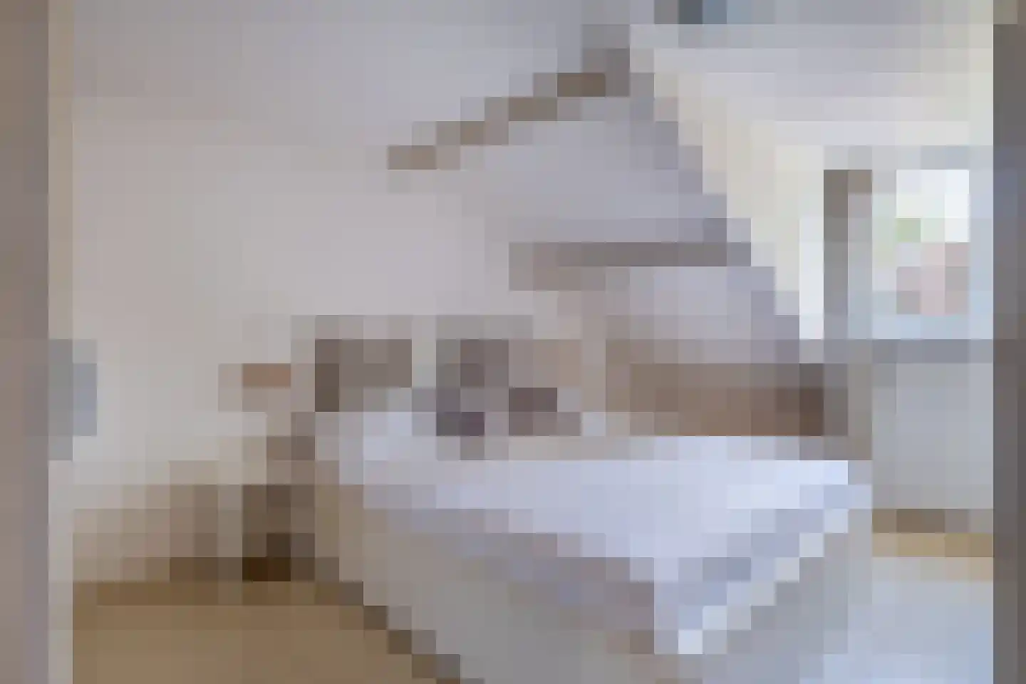 Simke Kloostermanstrjitte 112 Gytsjerk thumbnail 32