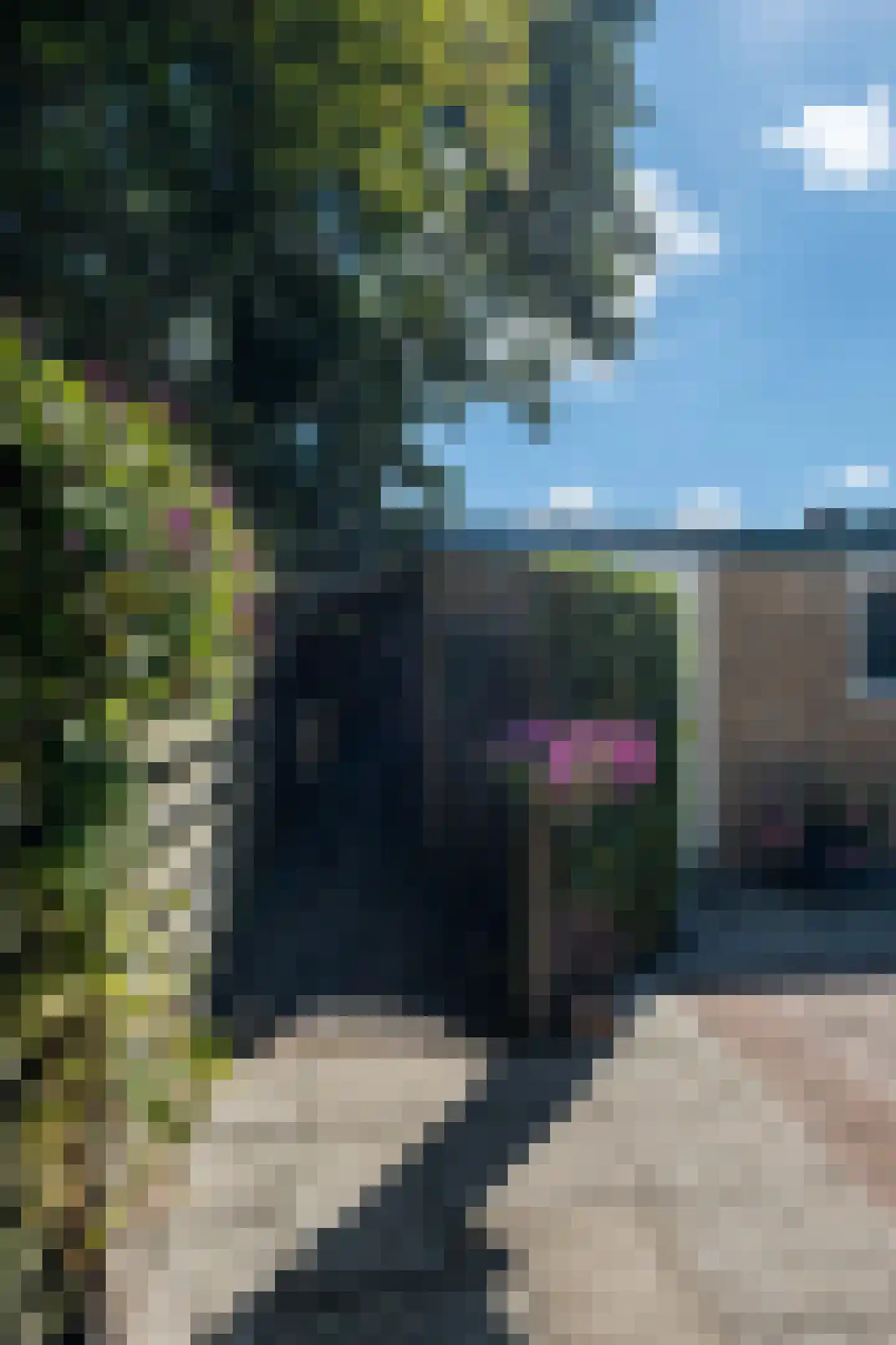 Simke Kloostermanstrjitte 112 Gytsjerk thumbnail 46