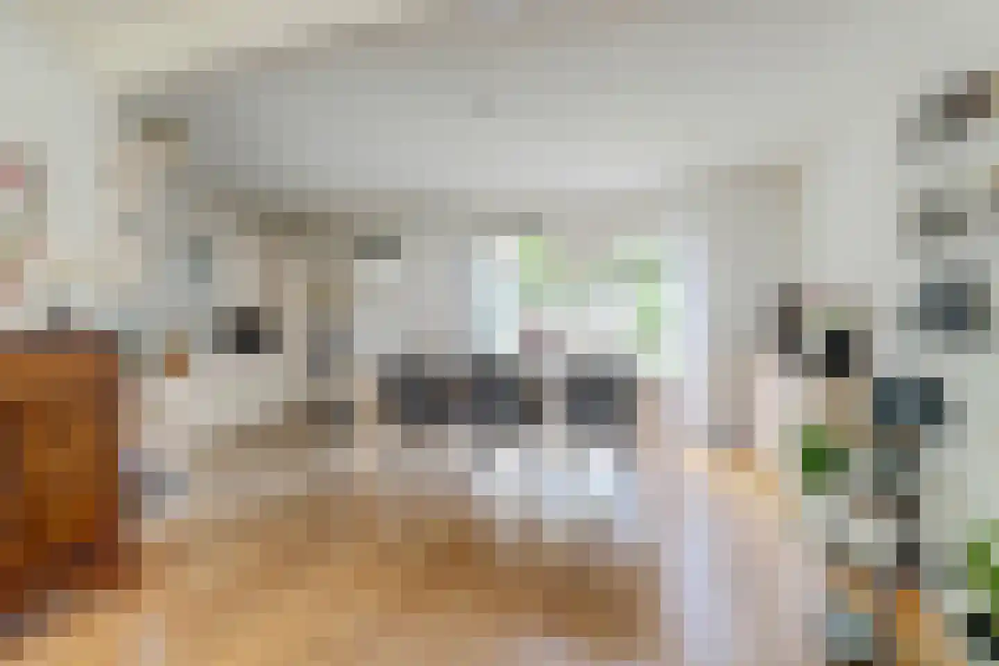 Simke Kloostermanstrjitte 122 Gytsjerk thumbnail 11