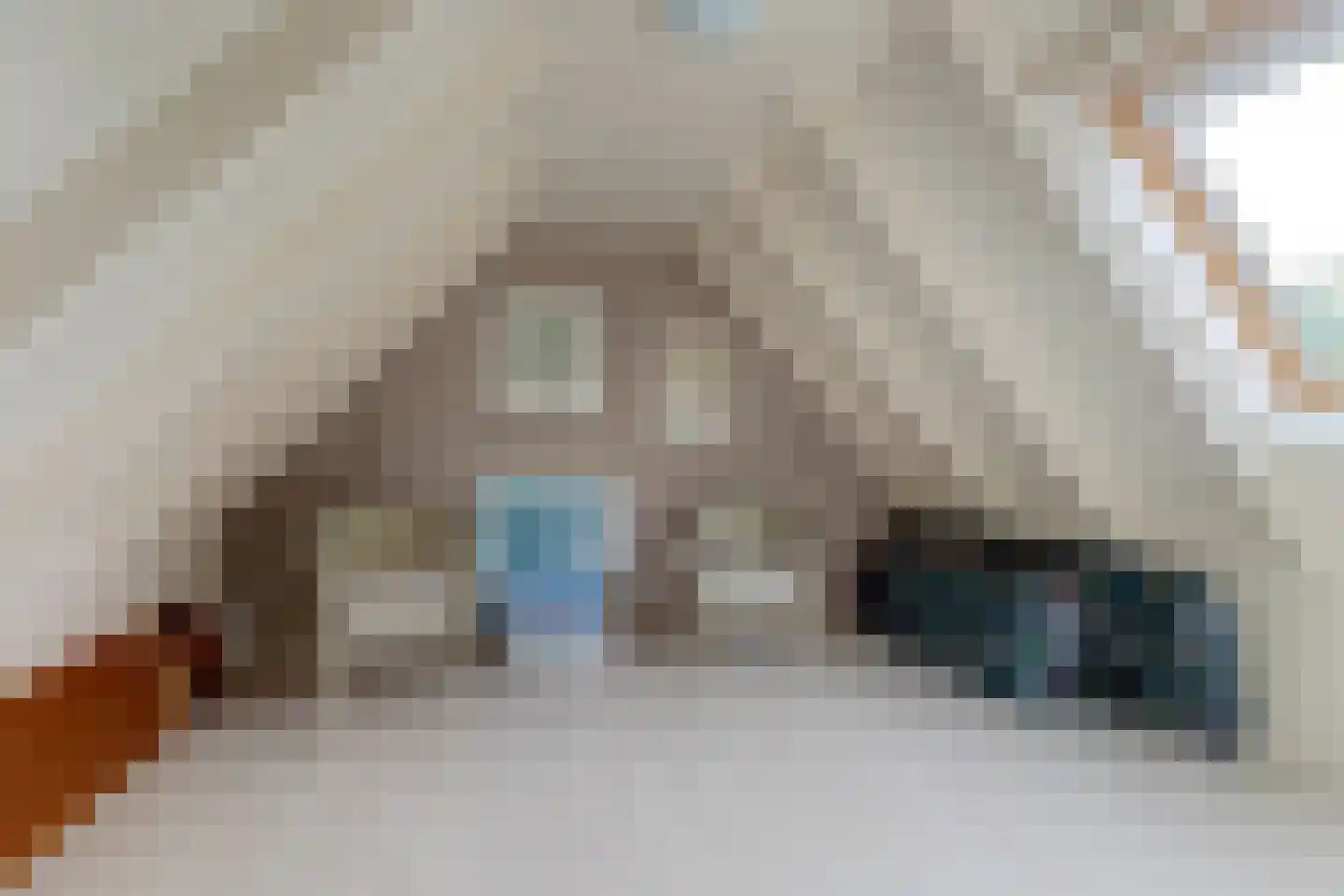 Simke Kloostermanstrjitte 122 Gytsjerk thumbnail 26