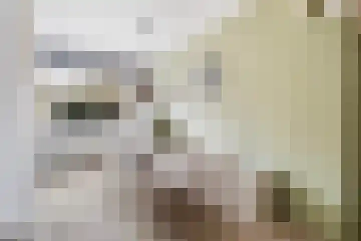 Simke Kloostermanstrjitte 27 Twijzel thumbnail 11