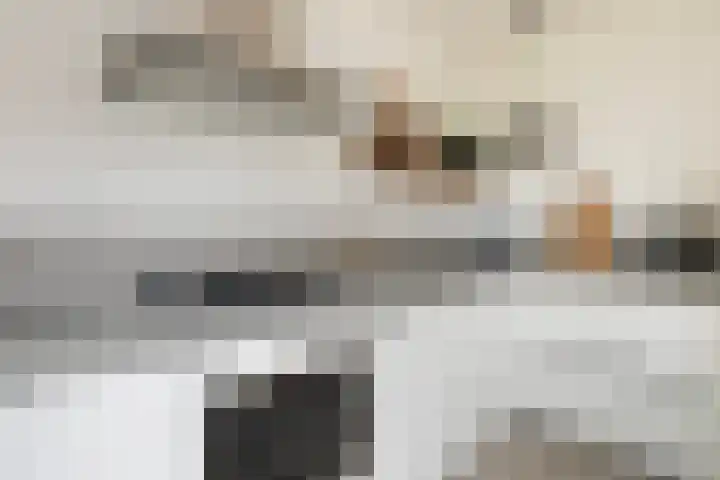 Simke Kloostermanstrjitte 27 Twijzel thumbnail 15