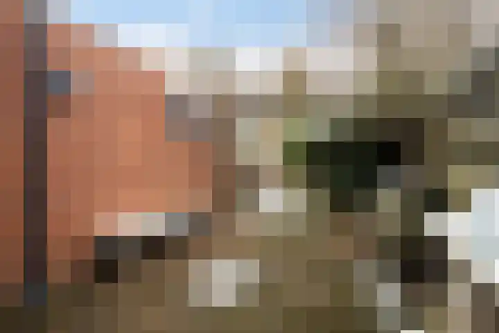 Simke Kloostermanstrjitte 27 Twijzel thumbnail 19