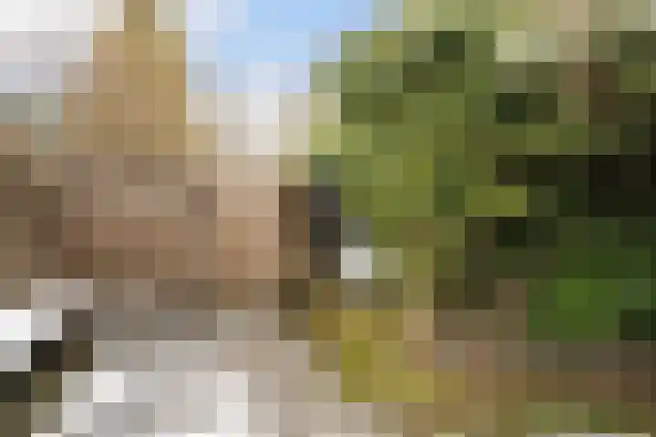 Simke Kloostermanstrjitte 27 Twijzel thumbnail 21