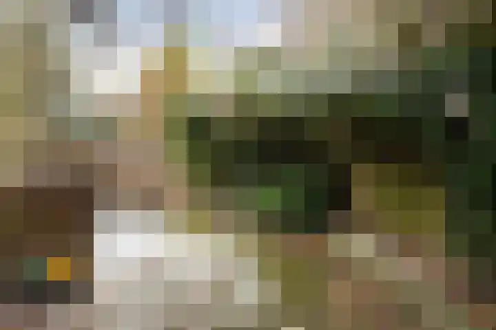 Simke Kloostermanstrjitte 27 Twijzel thumbnail 22