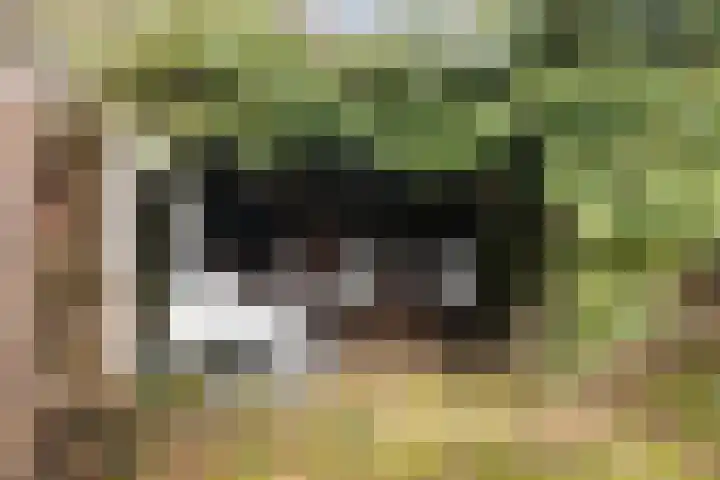 Simke Kloostermanstrjitte 27 Twijzel thumbnail 23