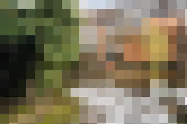 Simke Kloostermanstrjitte 27 Twijzel thumbnail 25